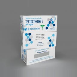 Testosterone E (10ml)